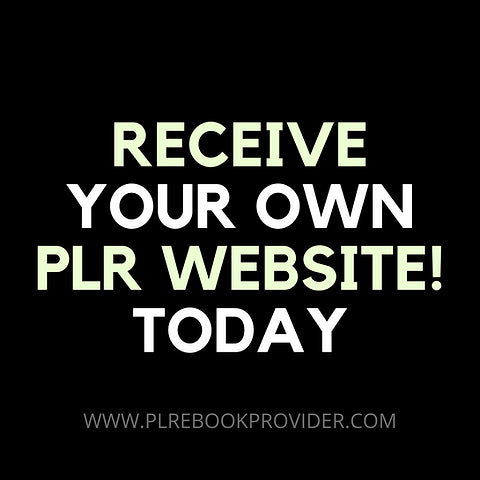 Receive Your Prebuilt PLR Website Fully Loaded With Products Ready To Make You Sales